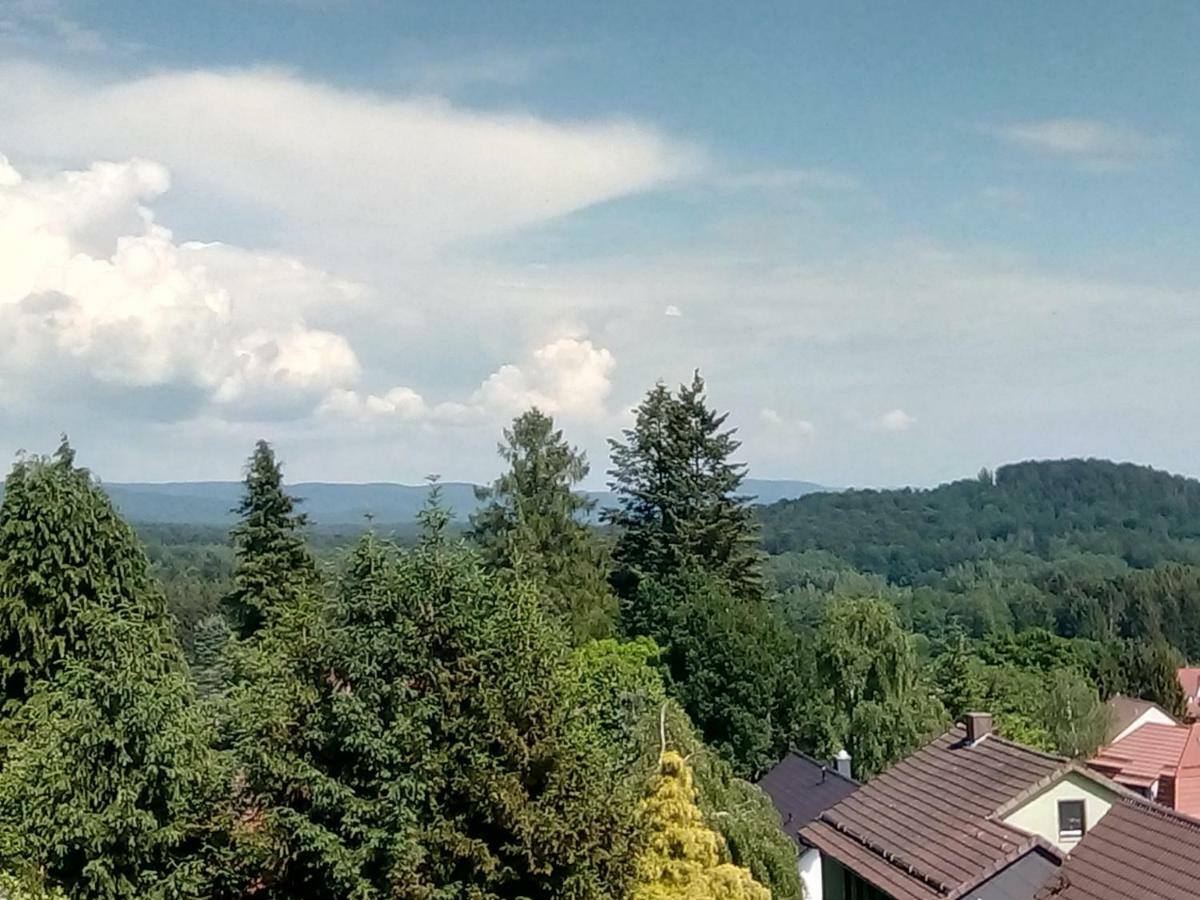 Ferienwohnung Jagdschlösschen-Harz Bad Sachsa Exterior foto