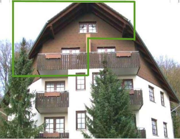 Ferienwohnung Jagdschlösschen-Harz Bad Sachsa Exterior foto