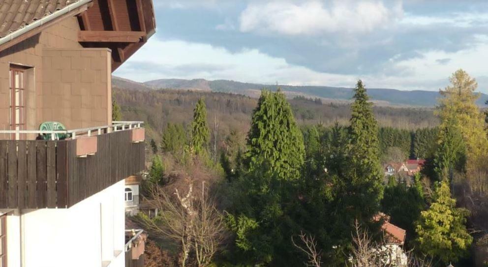 Ferienwohnung Jagdschlösschen-Harz Bad Sachsa Exterior foto